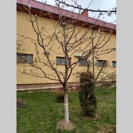 Appartement в центрі мукачева Moukatcheve