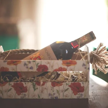 клуб яремчанський בית נופש *